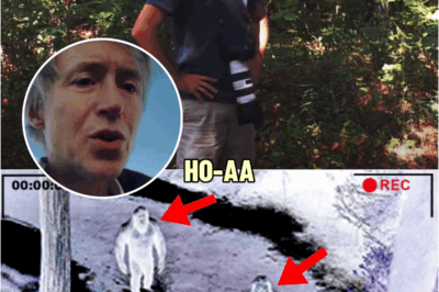 This Man Captures The Clearest Bigfoot Image In Existence On A Night Vision Camera! | HO!!!!
