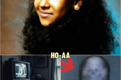 She D!ed Watching TV… and No One Noticed for 2 YEARS – Until This Happened | HO!!