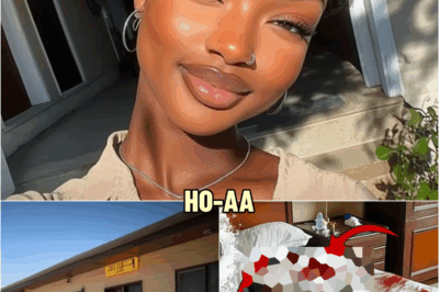 Las Vegas Newlywed Bride Found With ᴇʏᴇs Ripped Out And Her ᴠᴀɢ*ɴᴀ T0rn… | HO