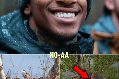 Tourist Vanished in North Carolina — His Remains Found in Heron Nest 40 Feet High… | HO!!