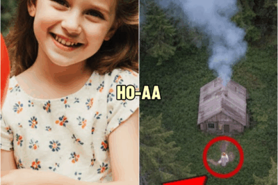 Girl Disappears During Family Picnic — 15 Years Later a Drone Captures Something in the Forest | HO