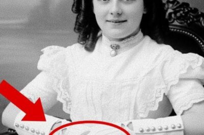 A 1904 Studio Photo Looks Harmless — But the Girl’s Hands Reveal a Frightening Detail | HO