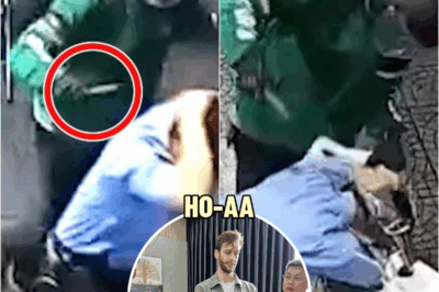 American Tourist Beats Vietnam Guard in Head with Iron Pipe Before $31K Jewelry Heist | HO~