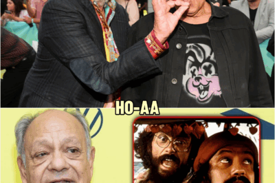 Things You Didn’t Know About Cheech Chong That Will Blow Your Mind | HO!!