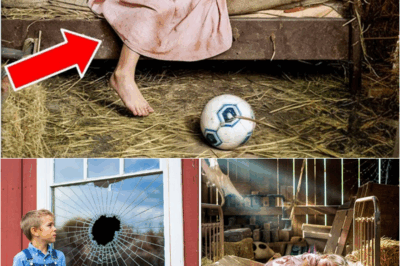 S – What Makes Mom’s Face Turn White When She Hears the Name “Barn”? Farm Boy Accidentally Kicked Ball Into Dad’s Barn, What He Found Inside Made His Heart Race!