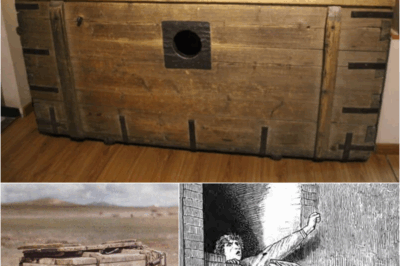 WHAT WAS HISTORY’S CRUELEST PUNISHMENT? The HORROR of Being Buried Alive in Darkness – S