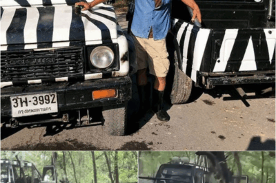 ZOO HORROR: Keeper MAULED TO DEATH by Lion Pride as Tourists Watch in HORROR – S