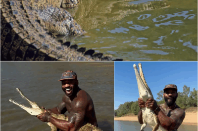 s – The “reverse” public opinion: 800,000 views but the whole social network is outraged – The sick trend with wild animals: From crocodiles in Australia to elephants in Kenya, when content crosses the ethical line