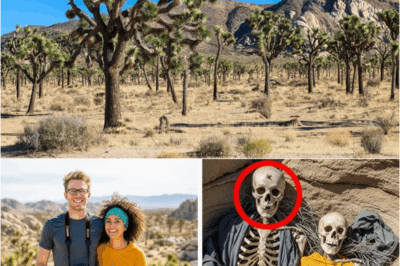 S – They Were Filming a Travel Blog in Joshua Tree — Years Later, Their Skeletons Were Found