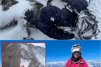 LEFT FOR DɆAD ON THE MOUNTAIN: Heartbroken Son’s Tearful Plea – ‘MY MOM IS STILL ALIVE UP THERE!’ – S