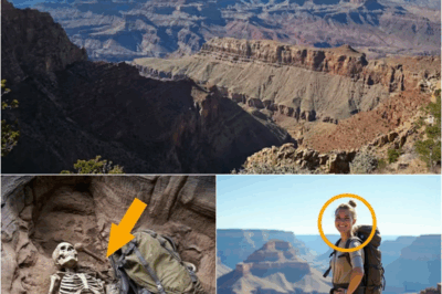 S – She Vanished in the Grand Canyon—10 Years Later, a Hiker Uncovered a Chilling Secret