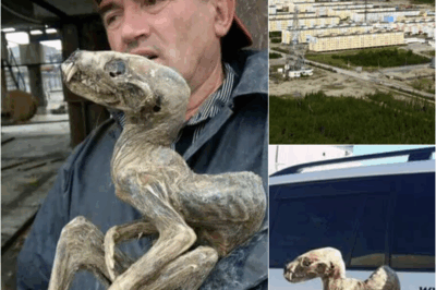 s – “What Kind of Fiendish Thing Is This?” Shocking Discovery From The Land of the Dead: Mummified “Monster” So Perfect It’s Hard to Believe