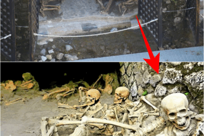 s – After 1,946 years of burial, the beach of death Herculaneum first revealed the whole picture of the Roman tragedy