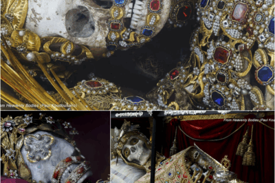 S – The Nameless King? The Splendid Beauty Before the Truth of History? No records – no canonization – still honored through gold and jade.