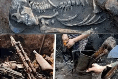 S – wartime wedding rings, WWII handwritten letters, love relics, personal archaeology, wartime love, war memories, emotional evidence, love letters WWII, wartime romance