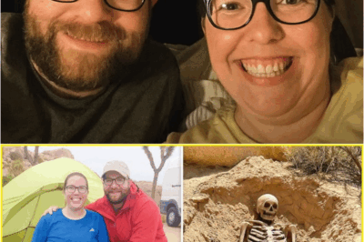 s – The Message “A Beautiful First Night” Became a Relic – Joshua Tree Kept Them for 11 Years – Then Released on a Windy Afternoon