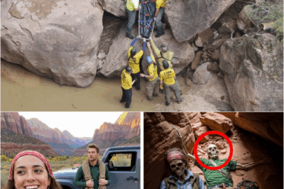 s – They Vanished Exploring Zion’s Subway Cave — Four Years Later, A Shocking Discovery Revealed What Happened
