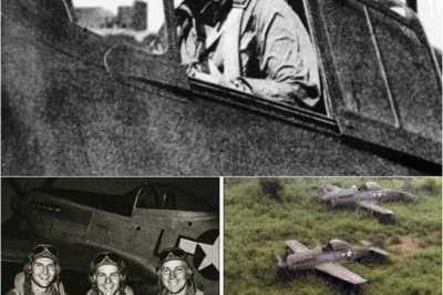 S – Why Was There No SOS Signal – But the Entire Flight Was in a Triangle? Three Fighter Pilots Vanished In 1944 — 75 Years Later, Their Planes Were Found Almost Intact. The Secret Buried Beneath Belgian Soil