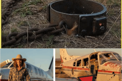 S – Woman Vanished in Her Plane in 1988 — 20 Years Later, Investigators Made a Chilling Discovery