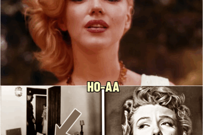 The Marilyn Monroe Mystery Finally Solved And It’s Not Good | HO