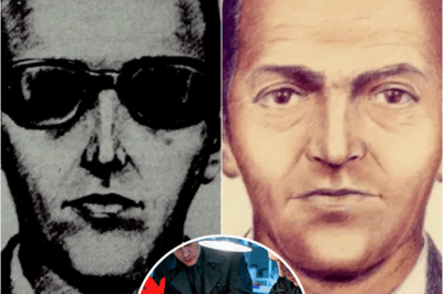 Detectives JUST Rechecked the D.B. Cooper Bills and Found a NEW Clue | HO!!!!