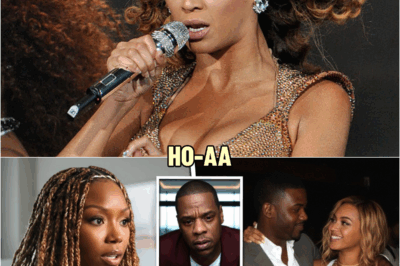 Beyoncé HUMILIATED — Brandy Caught Her In Bed With Ray J | HO’