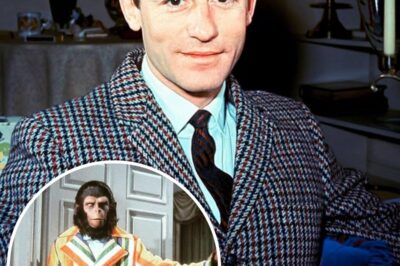 Roddy McDowall’s Hidden Archive Reveals the Secret Lives of 1960s Hollywood | HO