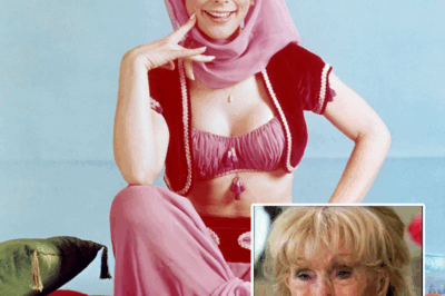 At 94, The Tragedy Of Barbara Eden Is Beyond Heartbreaking | HO!!!!