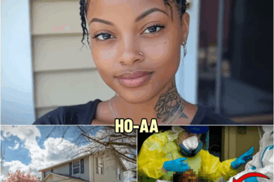 Chicago Horror Wife ᴄᴀsᴛʀᴀᴛᴇᴅ Her Husband & Mailed His Manhood To His Young Lover | HO