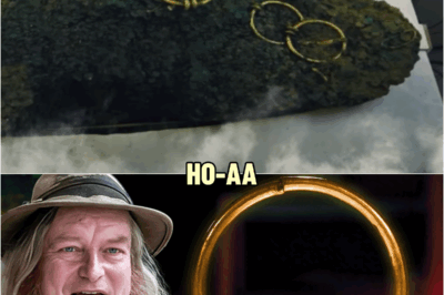 ‘I Found Britain’s Biggest Roman Treasure Hoard And Brought Proof’ Phil Harding Leaves World Shocked | HO!!
