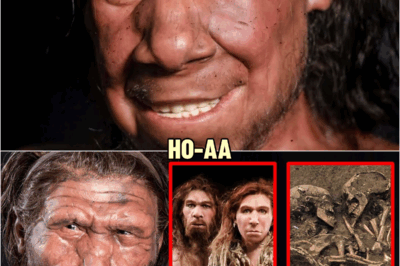 What DNA Evidence Just Revealed About Neanderthals Changed Human Evolution Forever | HO!!
