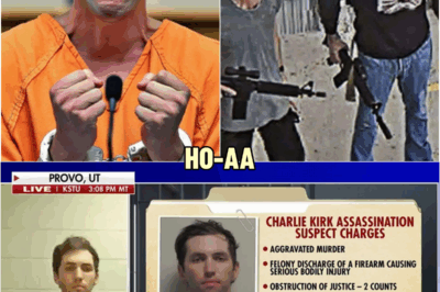Tyler Robinson Apologizes In Court And Reveals Who Really K!lled Charlie | HO~