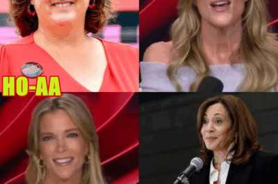 Megyn Kelly blasts Katie Porter, claims she has an ‘anger management’ problem