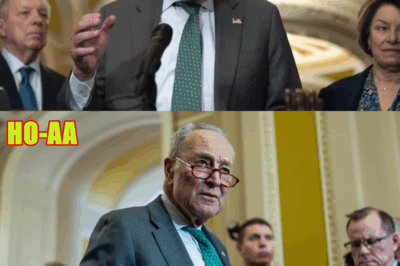 Trump Official Issues Grim Warning Over Schumer’s ‘VERY DAMAGING’ Funding Fight