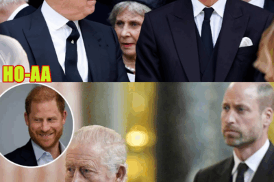 Harry’s Sabotage Claims Stink — He’s Grappling to Hide What Really Causes His Issues With the King