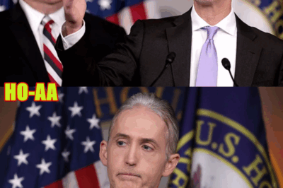 Trey Gowdy: “Democrats Are in the Minority for a Reason”