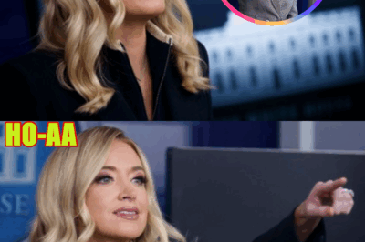 Everyone at CNN SCREAMED at me over this: McEnany