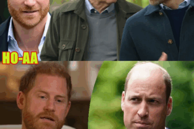 Prince William Makes Rare Comment About Prince Harry Amid Rift