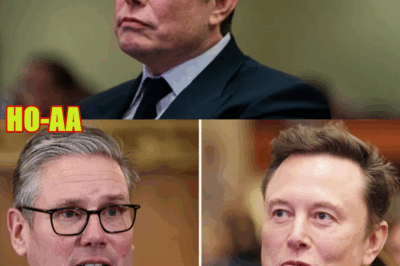 Elon Musk Was Right About This