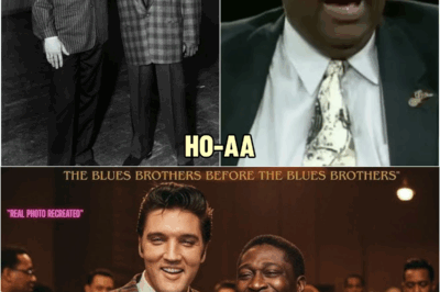 BB King talks about Elvis Presley in rare, surprising interview | HO!!