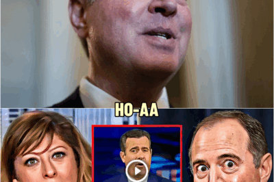 Maria Bartiromo Plays The Clip That ENDS Adam Schiff’s Career | HO#