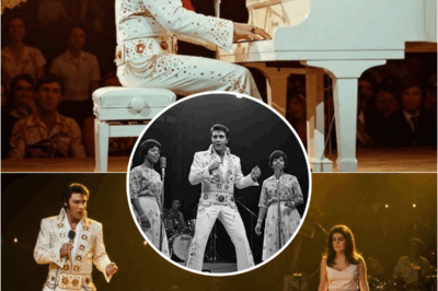 Elvis STOPPED entire Concert After Racist Slur — What He Did Next Changed History (Montgomery 1969) | HO