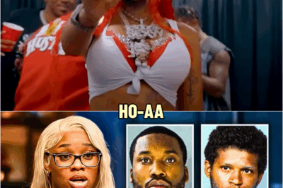 Sexyy Red EXPOSES Rappers That Are Secretly ʜɪᴠ Infected | HO’