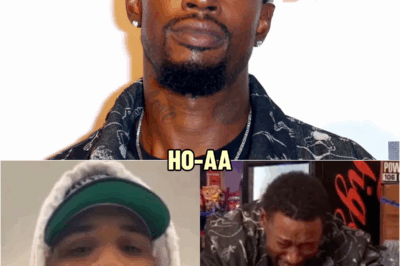 Chris Brown RESPONDS To Kevin McCall Crying About Being On EBT & Begging For $25K | HO’