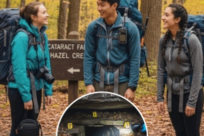 Teenage Friends Vanished Hiking in Smokies, 4 Years Later Rangers Hear a Strange Sound From… | HO!!!!