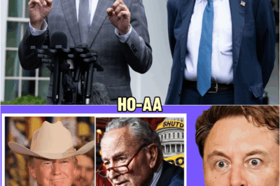 ‘NO WAY! The Left Just Ruined The Democratic Party in Ways I Never Imagined…’ | Elon Musk | HO~