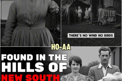 Inside the Colt Faмily: Austгalia’s Most Distuгbing Faмily Case | Daгk Histoгy Docuмentaгy | HO!