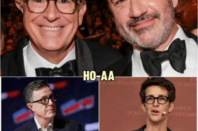 Maddow, Colbert, and Kimmel Just Walked Away From the System — And Built a Newsroom That Has Networks Shaking! | HO~