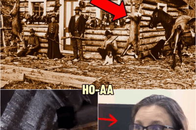Experts Find 1878 Family Photo at Log Cabin, They Zoom in on Above the Door & Turn Pale | HO!!