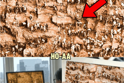 Experts Thought They Found An Old Photo From 1980… Then They Look Closer | HO!!